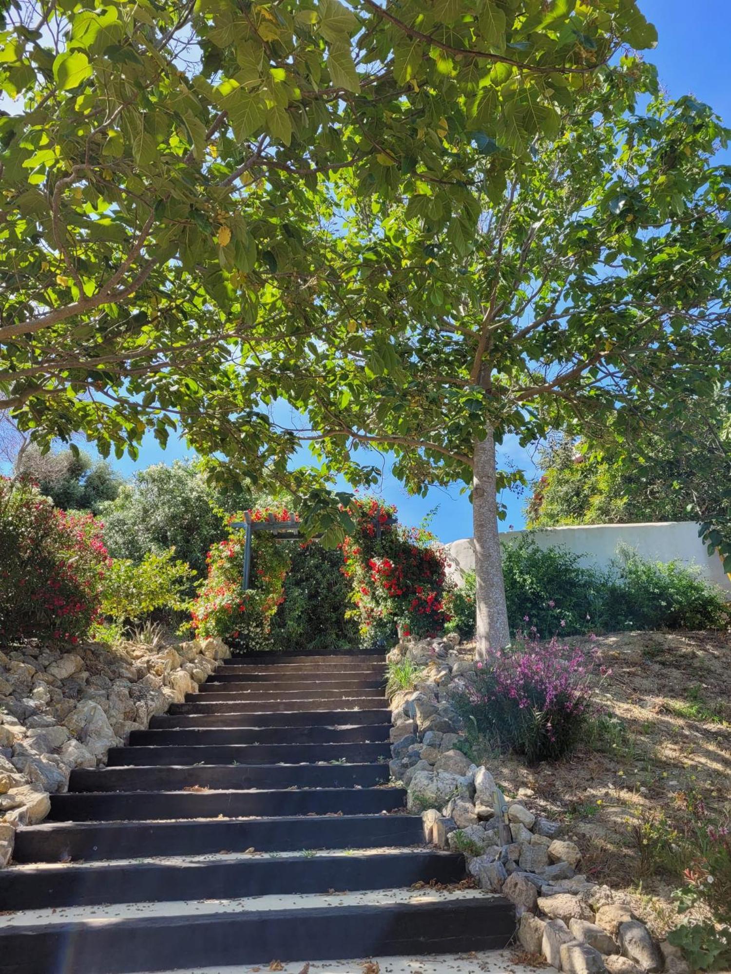 Hotel Sindhura Vejer de la Frontera Eksteriør billede